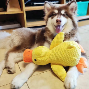 Jouet Interactif pour Chien en Canard - Son de Canard et Lavable en Machine