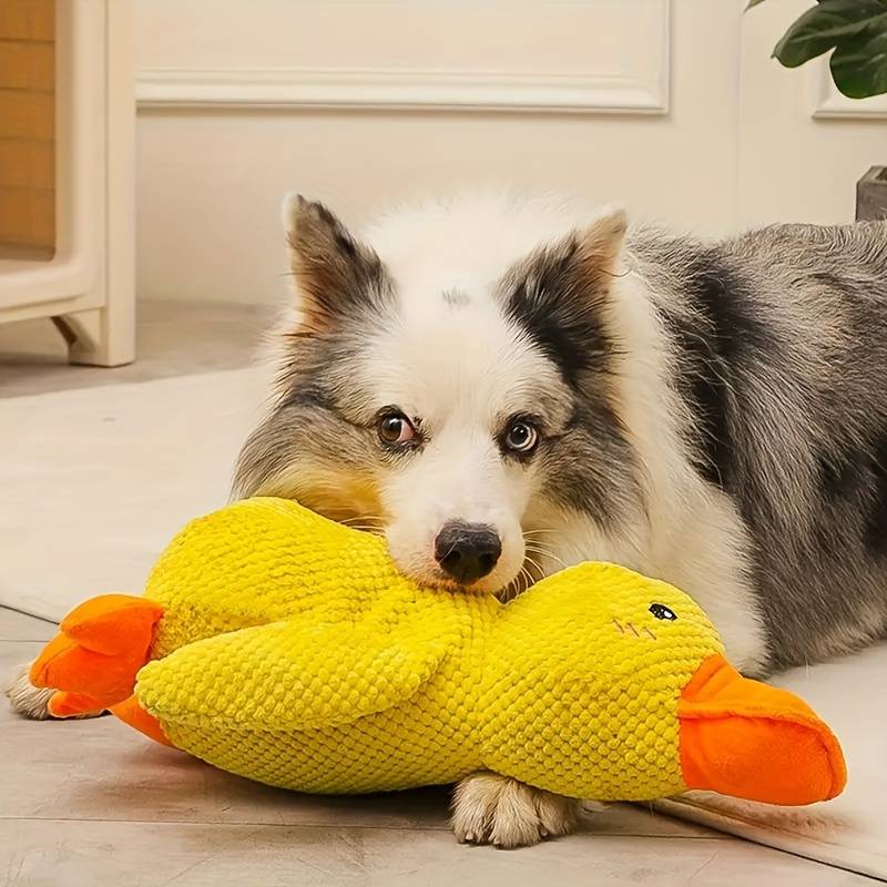 Jouet Interactif pour Chien en Canard - Son de Canard et Lavable en Machine
