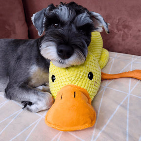 Jouet Interactif pour Chien en Canard - Son de Canard et Lavable en Machine