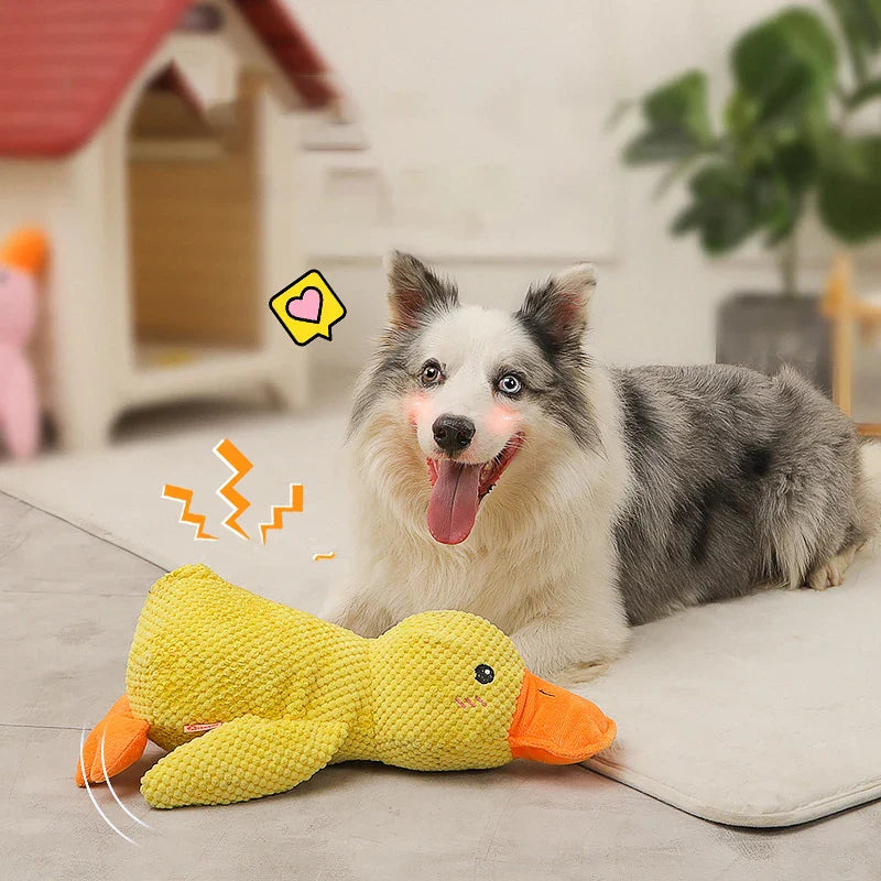 Jouet Interactif pour Chien en Canard - Son de Canard et Lavable en Machine