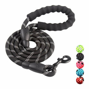 Laisse Réfléchissante pour Chien - Nylon Durable et Crochet Rotatif 360°