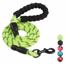 Laisse Réfléchissante pour Chien - Nylon Durable et Crochet Rotatif 360°
