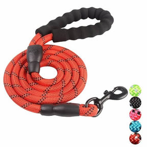 Laisse Réfléchissante pour Chien - Nylon Durable et Crochet Rotatif 360°