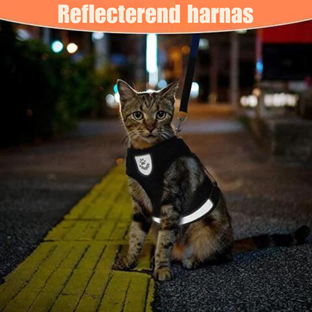 Harnais Réfléchissant pour Chats - Sécurité et Confort lors des Promenades Nocturnes