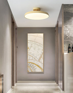 Plafonnier LED Moderne et Élégant - Illumination Parfaite pour Tous les Espaces