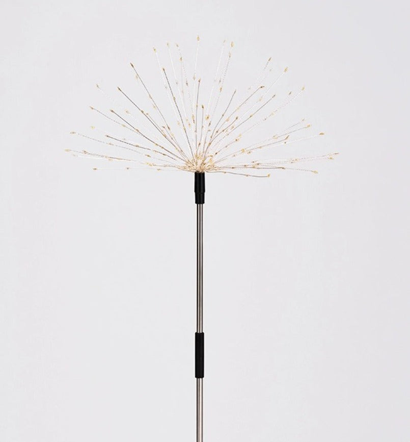 Lumière Solaire de Jardin - Capteur Intelligent et Étanchéité IP65