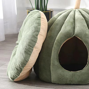Lit pour Chat Citrouille - Confort Douillet et Hygiène Hivernale
