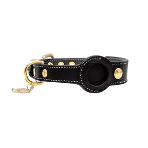 Collier pour Chien avec Suivi AirTag - Résistant et Confortable pour Toutes les Races