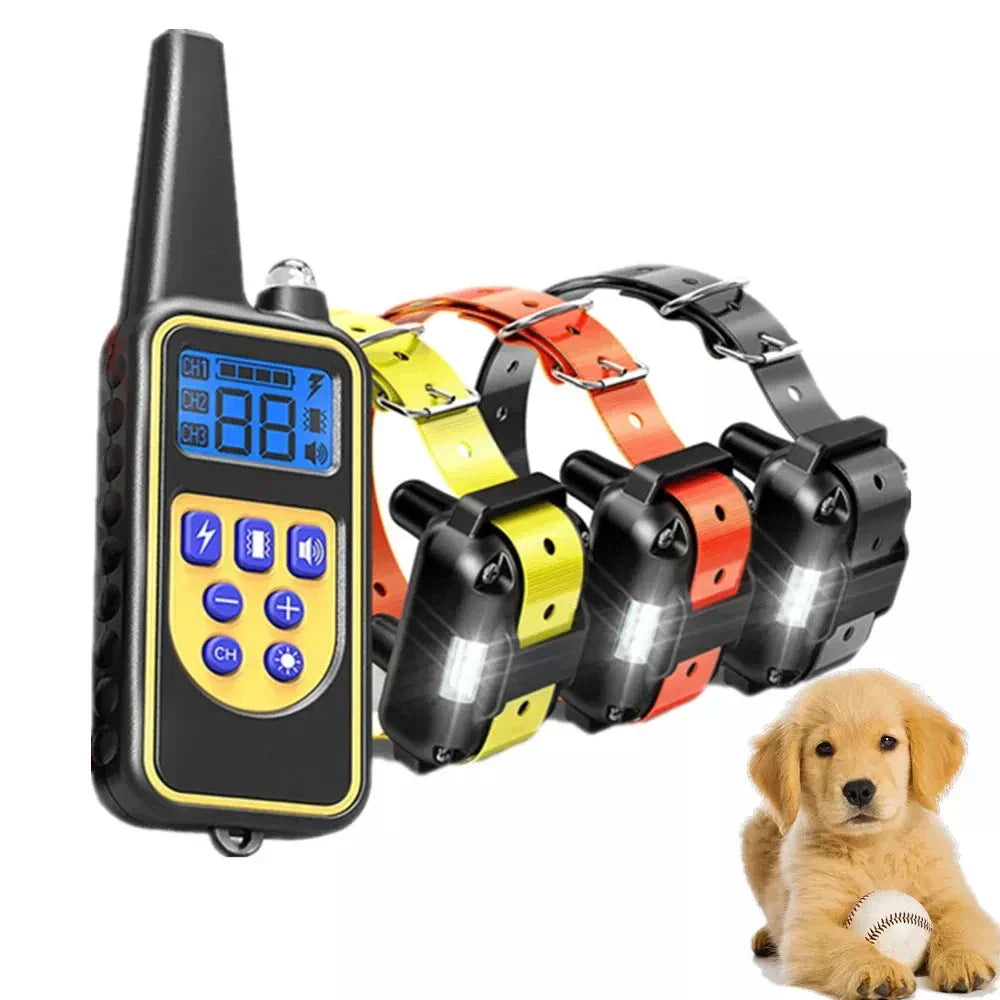 Collier de Dressage Étanche pour Chien - Batterie Rechargeable et Télécommande Longue Portée