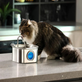 Fontaine à Eau en Acier Inoxydable - Design Élégant et Résistant aux Intempéries
