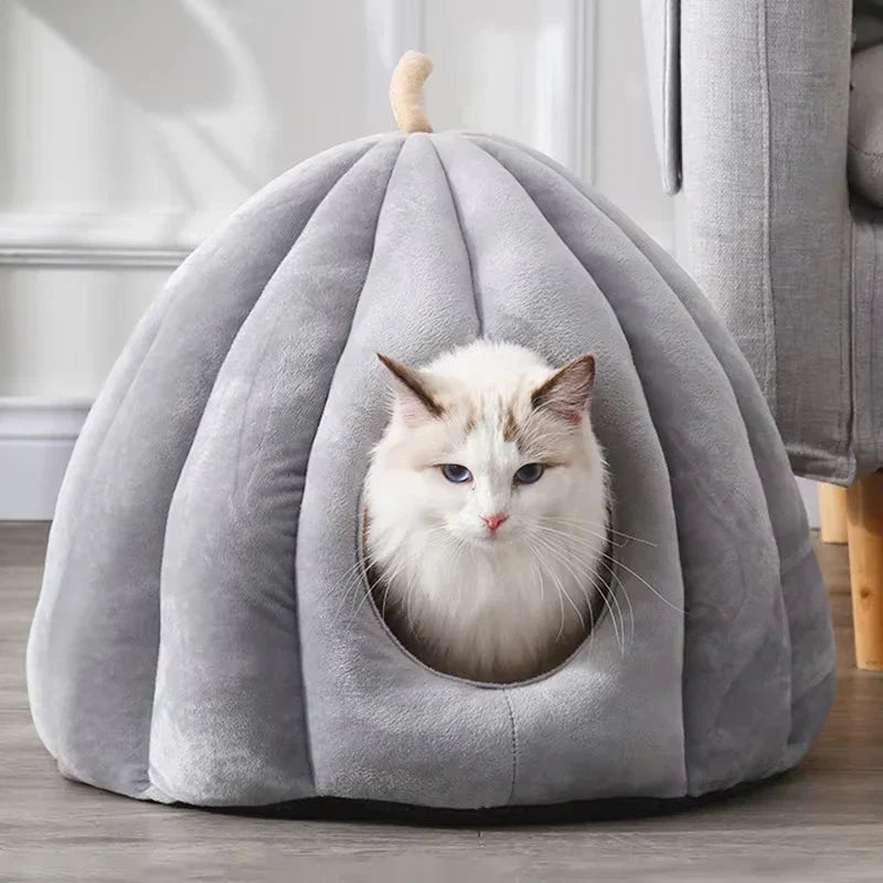 Lit pour Chat Citrouille - Confort Douillet et Hygiène Hivernale