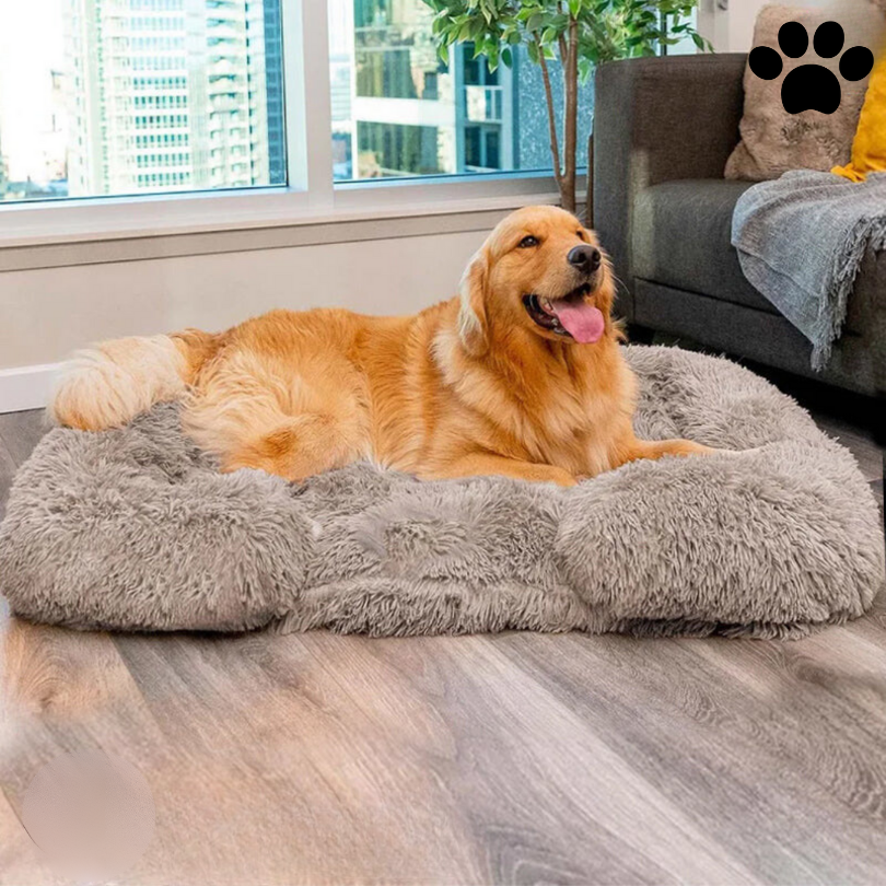 Lit pour Chien en Mousse à Mémoire - Confort Optimal et Doublure Imperméable