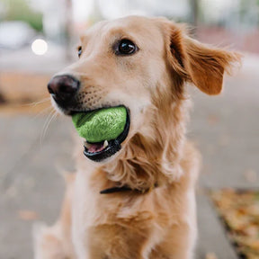 Boule de Chien Roulante Automatique - Jouet Interactif Sûr et Rechargeable