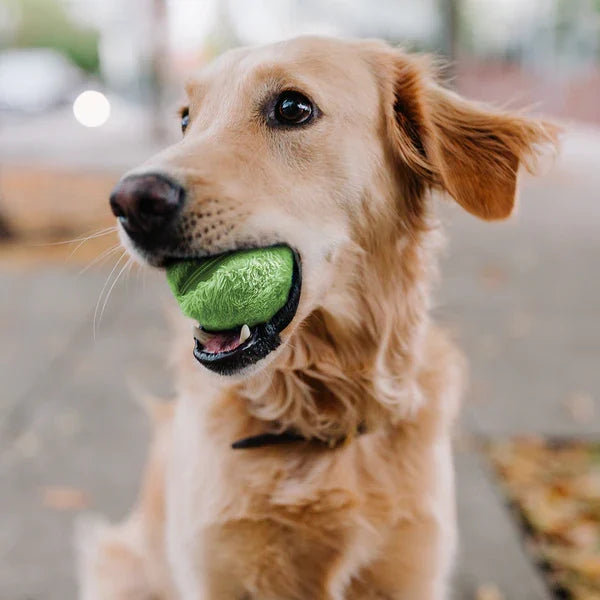 Boule de Chien Roulante Automatique - Jouet Interactif Sûr et Rechargeable