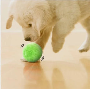 Boule de Chien Roulante Automatique - Jouet Interactif Sûr et Rechargeable