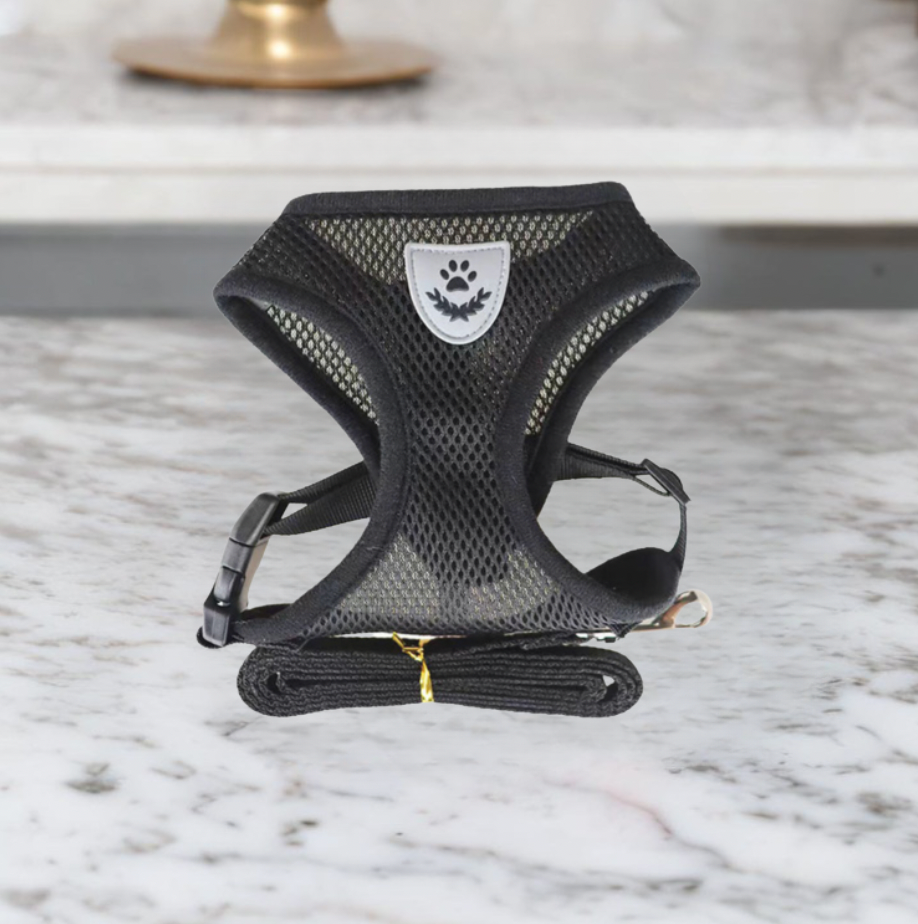 Harnais pour Chat Confortable - Design Ajustable et Respirant pour Sécurité