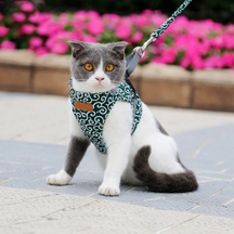 Harnais pour Chat Confortable - Ajustement Réglable et Laisse Assortie