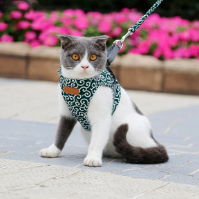 Harnais pour Chat Confortable - Ajustement Réglable et Laisse Assortie