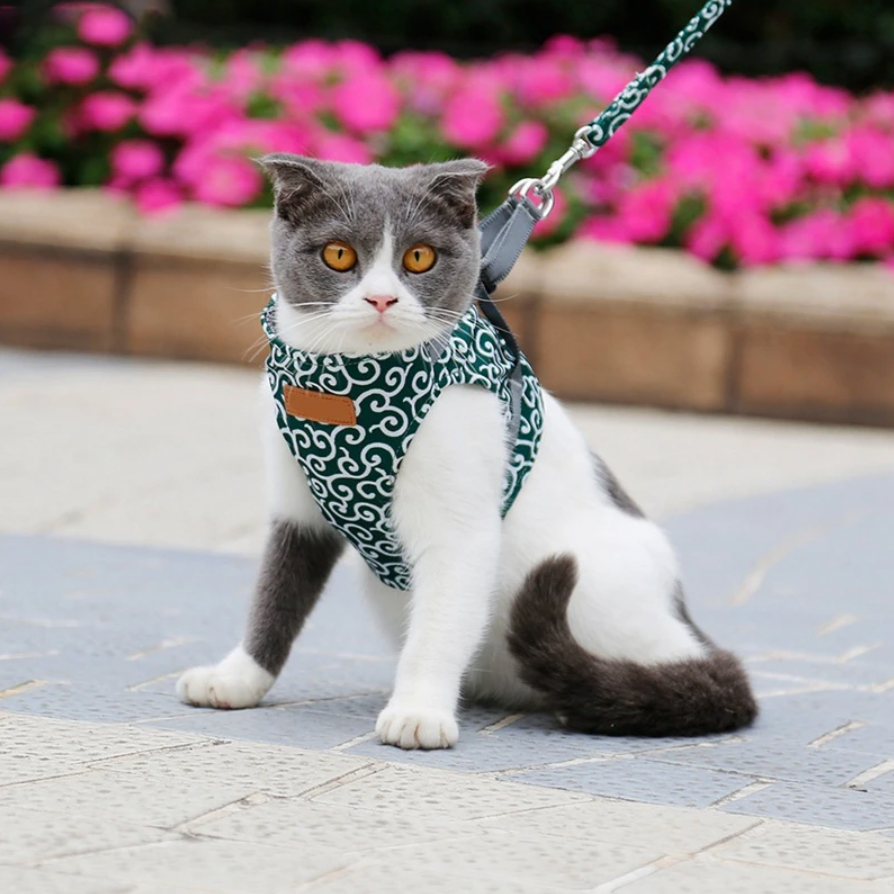 Harnais pour Chat Confortable - Ajustement Réglable et Laisse Assortie