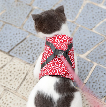 Harnais pour Chat Confortable - Ajustement Réglable et Laisse Assortie