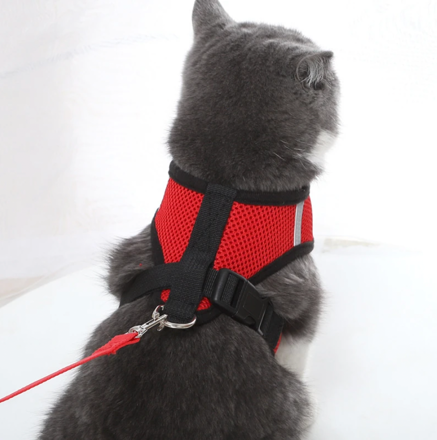 Harnais pour Chat Confortable - Design Ajustable et Respirant pour Sécurité
