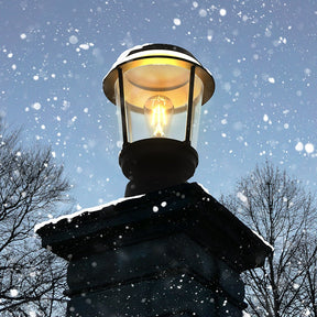Lampe Solaire de Jardin - Éclairage Durable et Résistant aux Intempéries