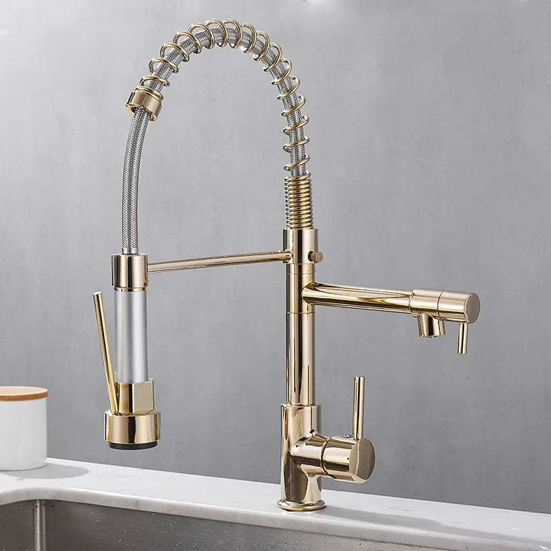 Robinet à Double Sortie pour Cuisine - Design Élégant et Installation Facile