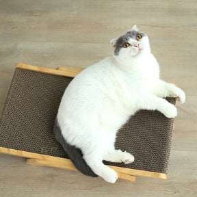 Lit pour Chat en Forme de Crabe - Tissu Doux et Remplaçable pour Confort