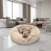 Lit pour Chien Surélevé Doux | Confort Ultime et Détente Assurée