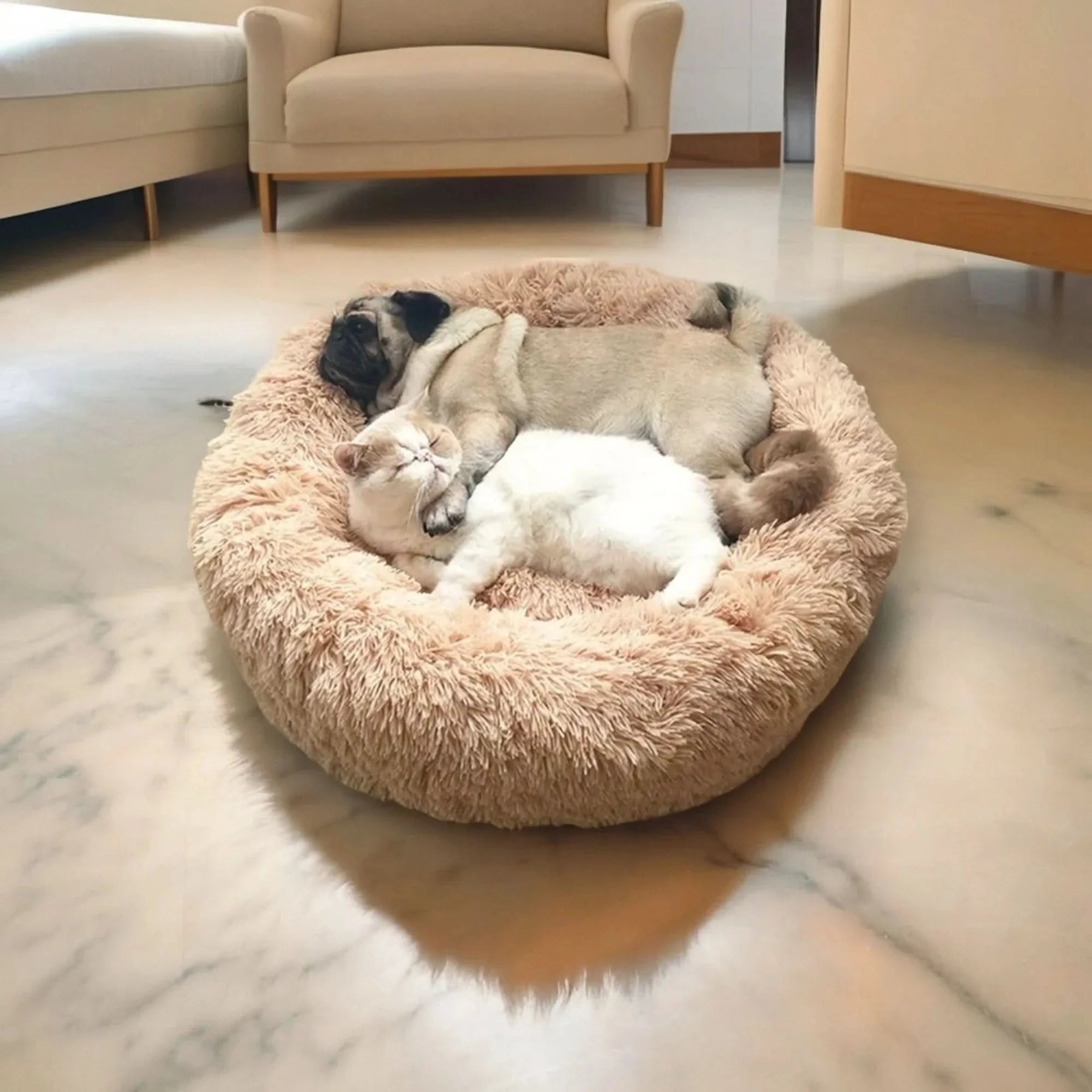 Lit pour Chien Surélevé Doux | Confort Ultime et Détente Assurée