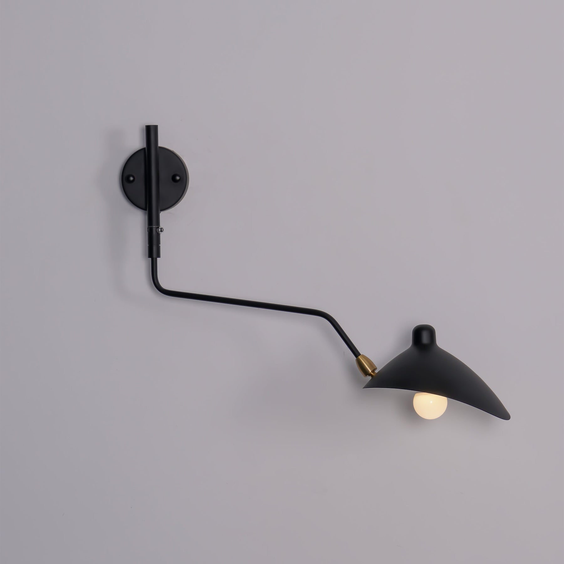 Applique Murale à Double Bras - Éclairage Flexible et Économe en Énergie