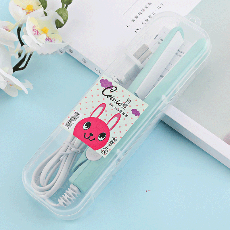 Lisseur de Cheveux Portable - Coiffage Rapide et Compact en Voyage