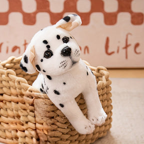Chien en Peluche Doux - Câlin Confortable pour Bébés et Enfants