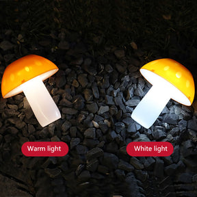 Lumière Solaire de Jardin - Éclairage Automatique et Énergétique
