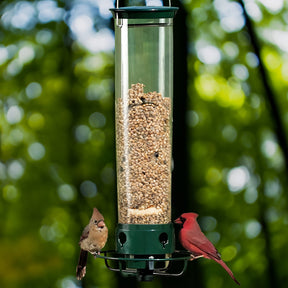 Distributeur de Graines Anti-Écureuils - Protection Efficace pour Oiseaux de Jardin