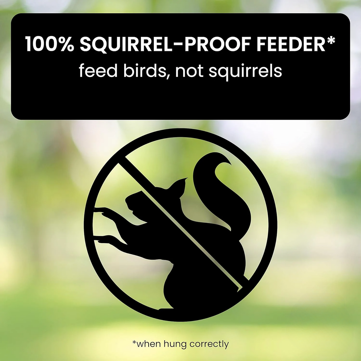 Distributeur de Graines Anti-Écureuils - Protection Efficace pour Oiseaux de Jardin