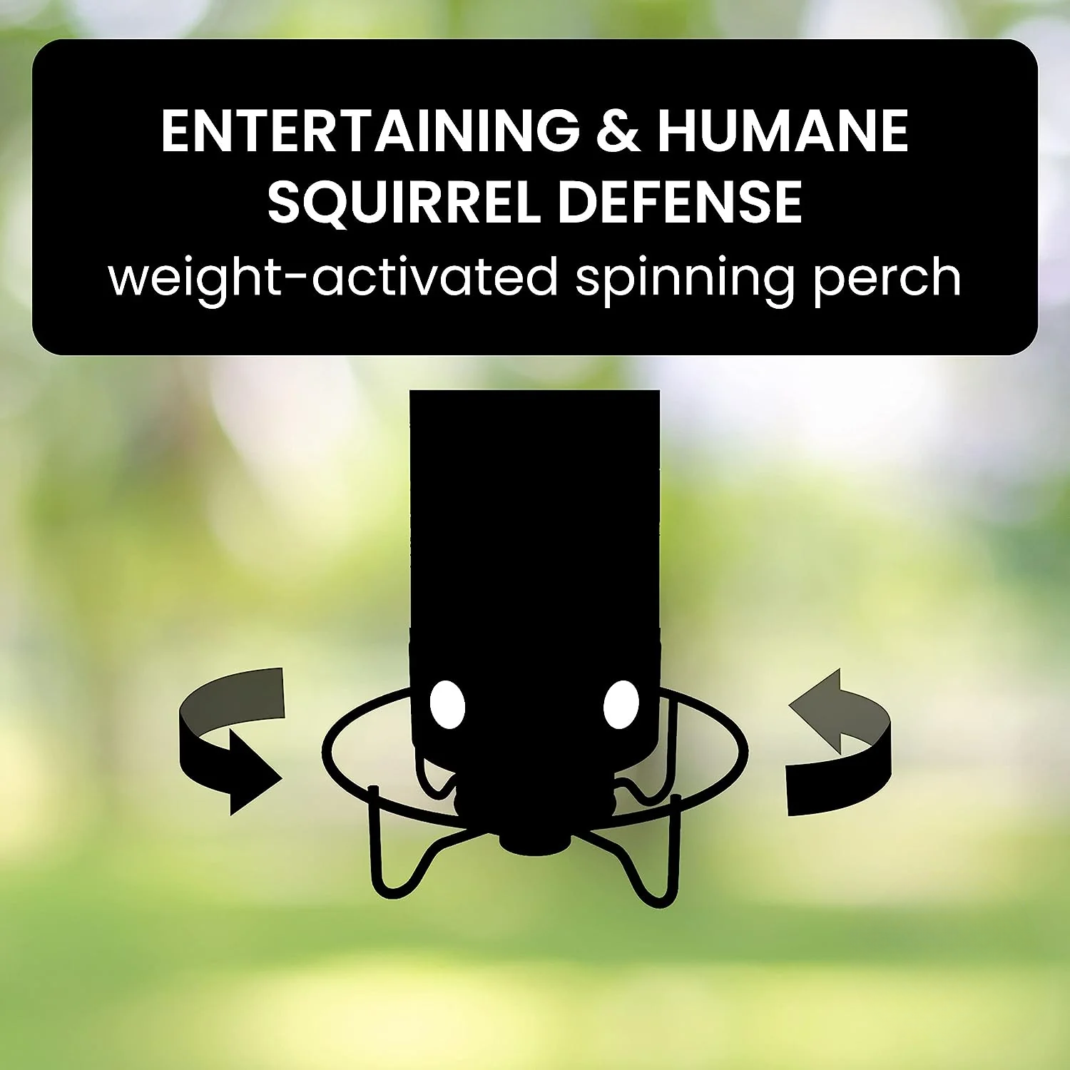 Distributeur de Graines Anti-Écureuils - Protection Efficace pour Oiseaux de Jardin