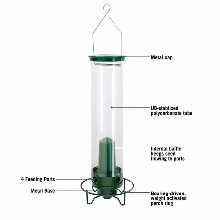 Distributeur de Graines Anti-Écureuils - Protection Efficace pour Oiseaux de Jardin