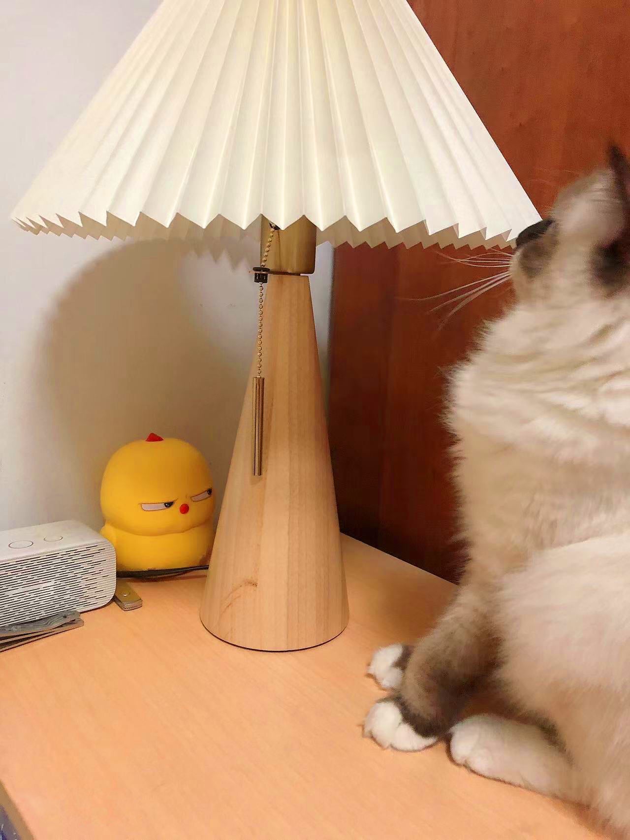 Lampe de Table en Bois et Métal - Élégance Intemporelle pour Votre Intérieur