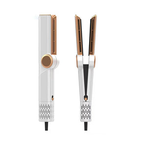 Lisseur 2-en-1 pour Cheveux Humides et Secs - Coiffage Rapide et Soin Optimal