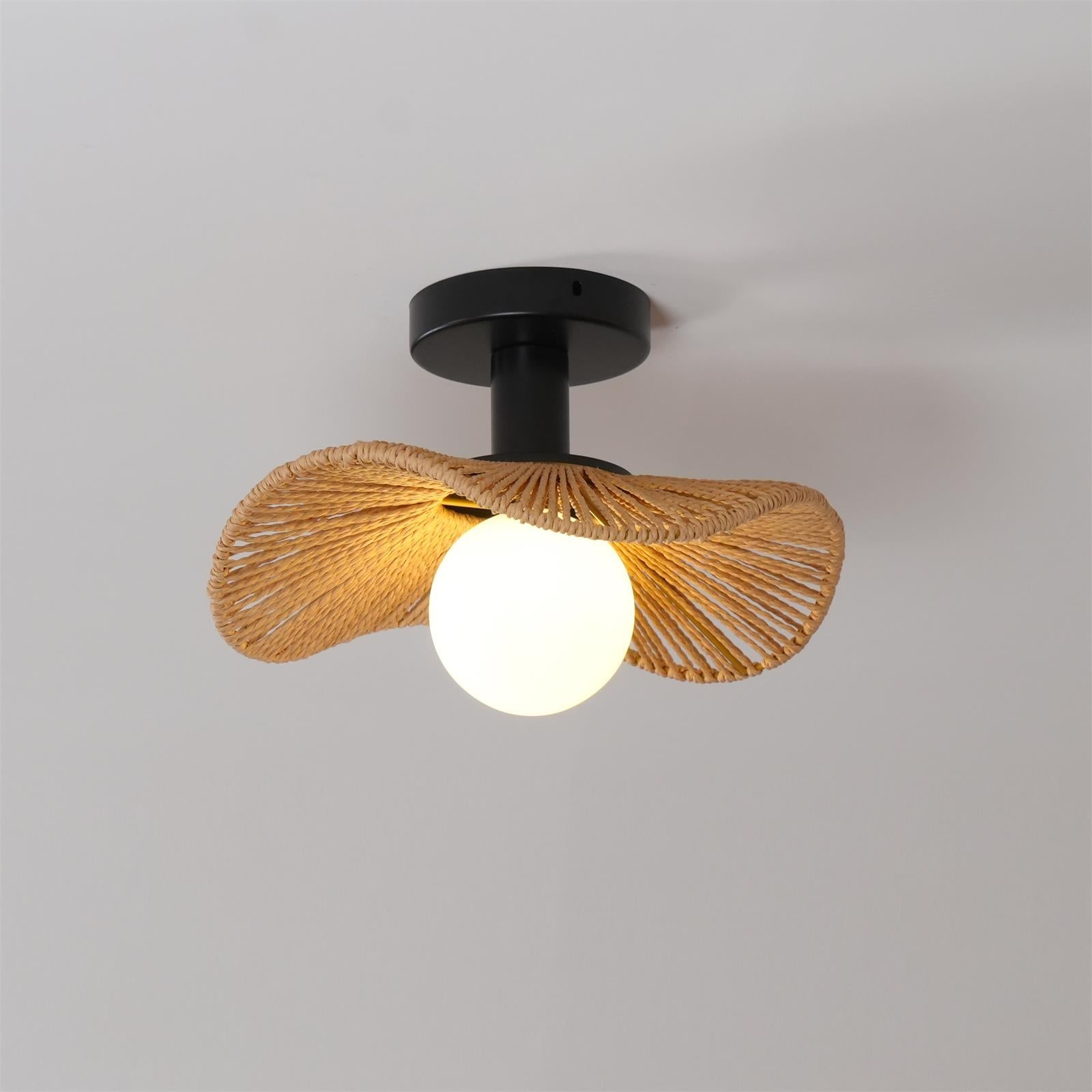 Lampe de Plafond Ambiante Moderne - Éclairage Élégant et Personnalisable