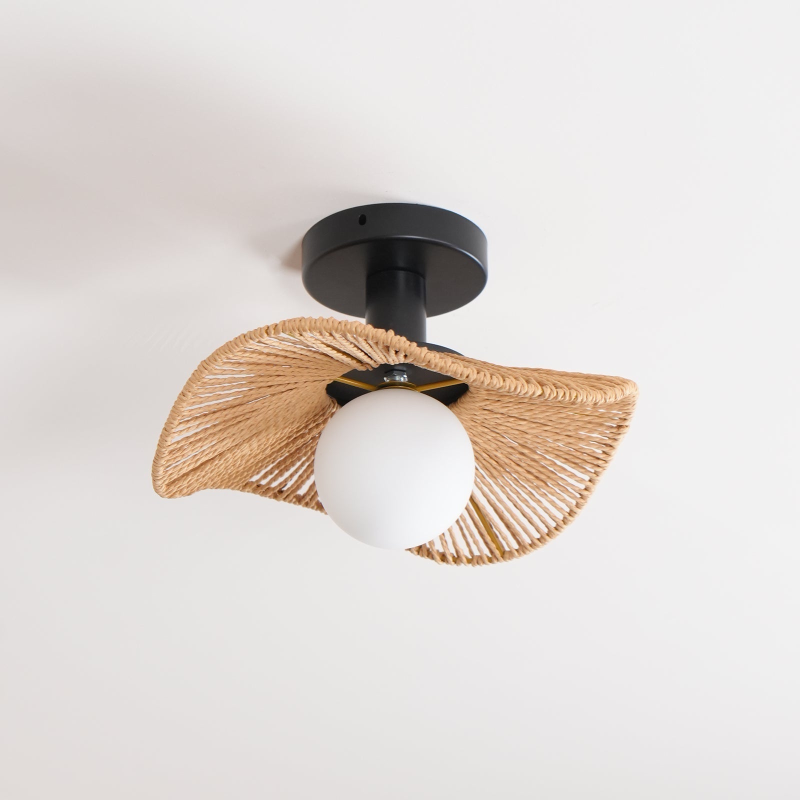 Lampe de Plafond Ambiante Moderne - Éclairage Élégant et Personnalisable