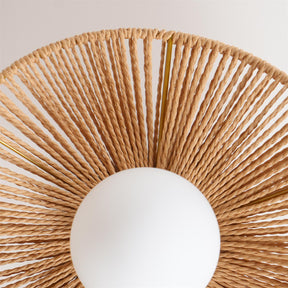 Lampe de Plafond Ambiante Moderne - Éclairage Élégant et Personnalisable