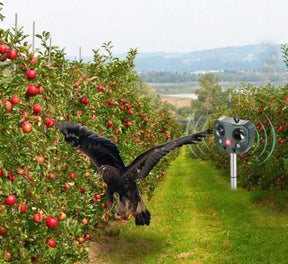Répulsif Ultrasonique pour Oiseaux Solaire - Écologique et Longue Portée
