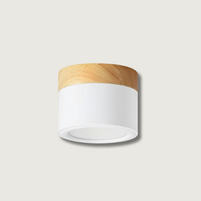 Spot de Plafond Minimaliste - Éclairage Ciblé et Design Scandinave