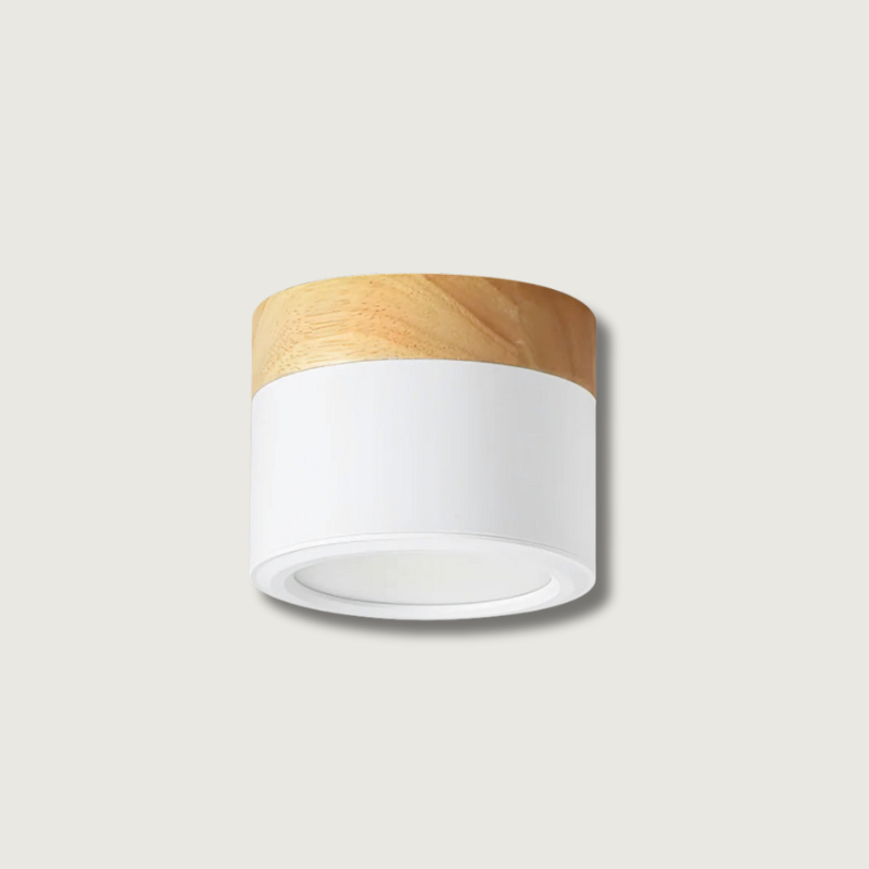 Spot de Plafond Minimaliste - Éclairage Ciblé et Design Scandinave