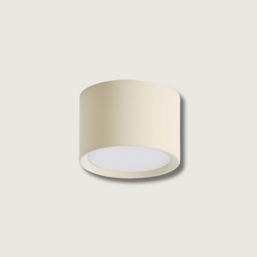 Luminaire de Plafond Élégant - Éclairage Doux et Diffus pour Intérieur