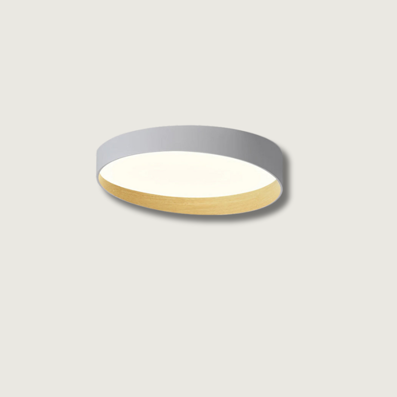 Lampe de Plafond LED Moderne - Design Élégant et Ambiance Chaleureuse