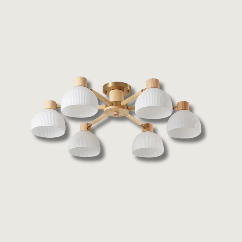 Lampe de Plafond Industrielle en Verre - Ambiance Luxueuse et Romantique