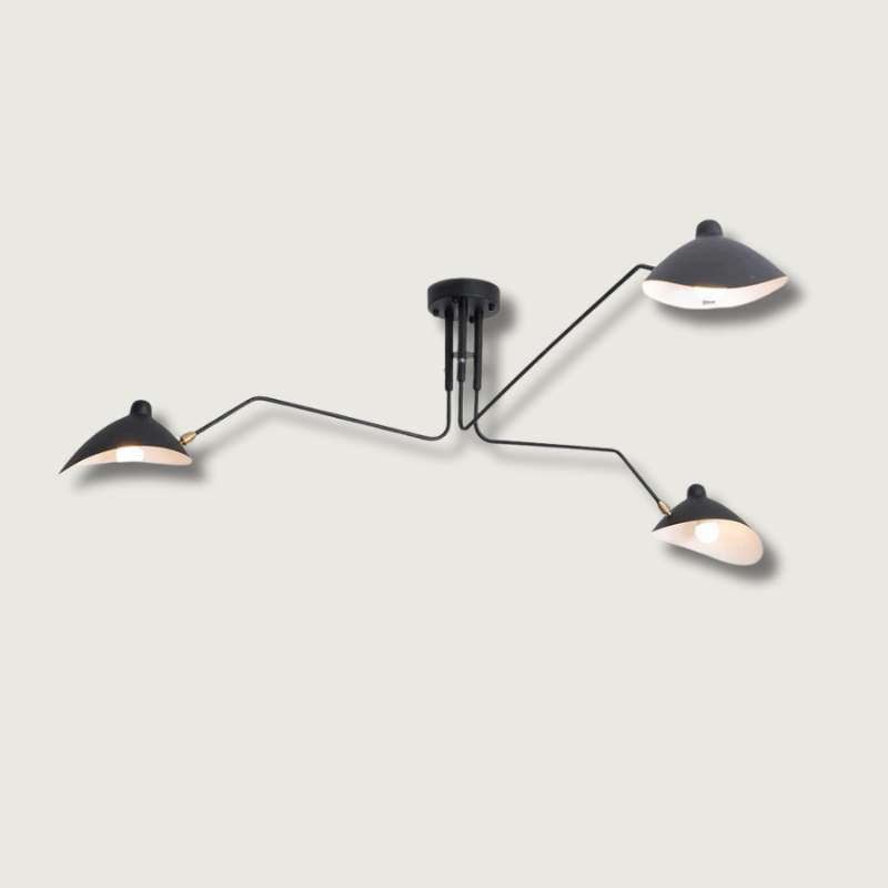 Éclairage de Plafond Design Moderne - Style Luxueux et Polyvalent